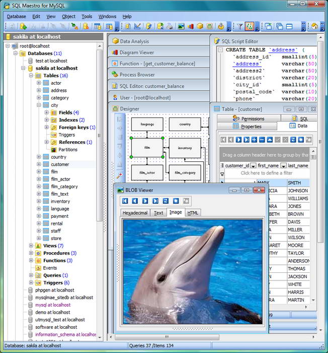 SQL Maestro for MySQL distribution package