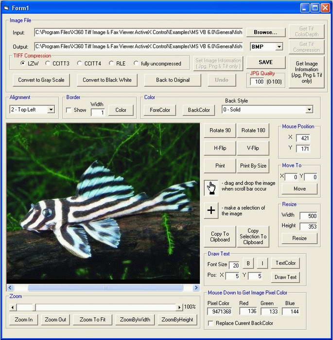 X360 Exif & Tiff Tag Viewer ActiveX OCX