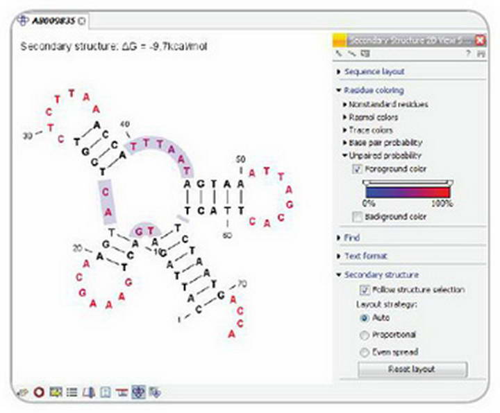 CLC Sequence Viewer