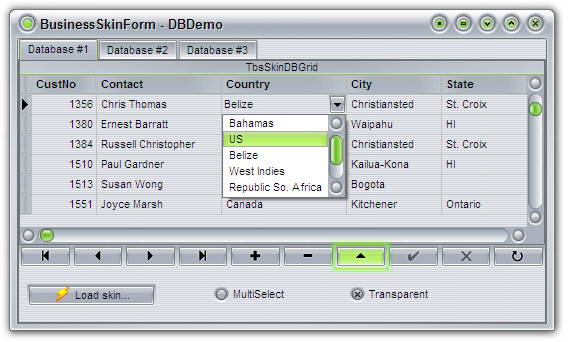 BusinessSkinForm VCL for D2006