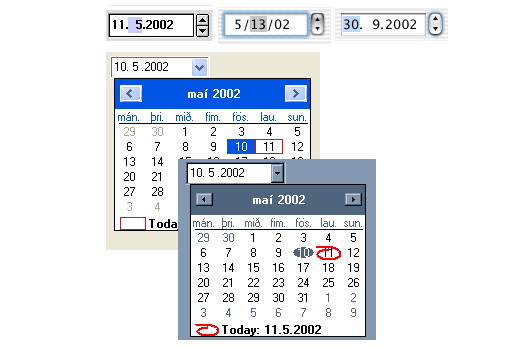 DateControl For Mac