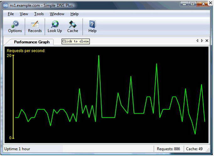 Simple DNS Plus