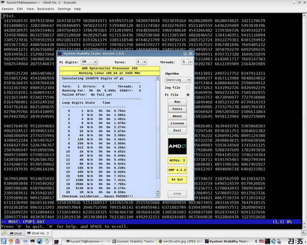 System Stability Tester For Linux(32bit)