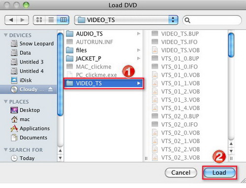 SnowFox DVD to iPad Converter