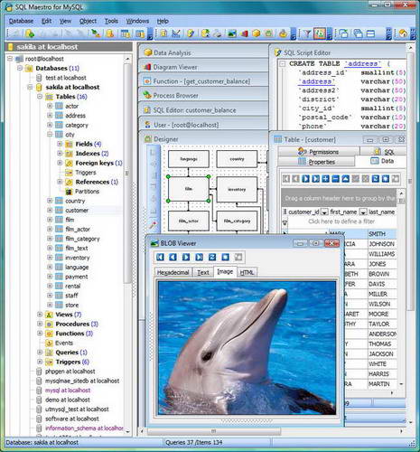 SQL Maestro for MySQL executable file