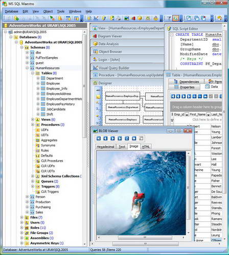 MS SQL Maestro executable file