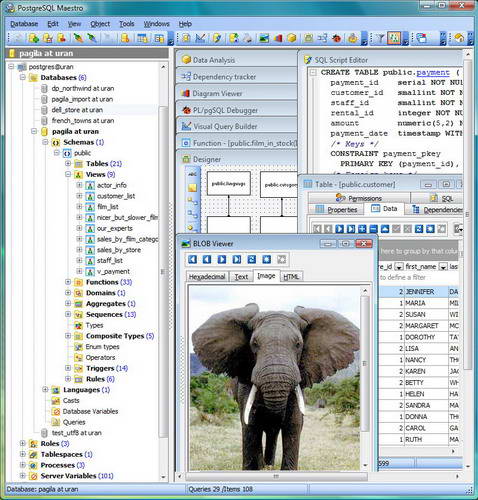 PostgreSQL Maestro executable file