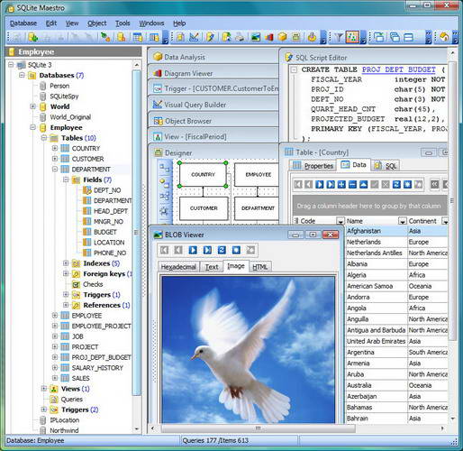 SQLite Maestro executable file