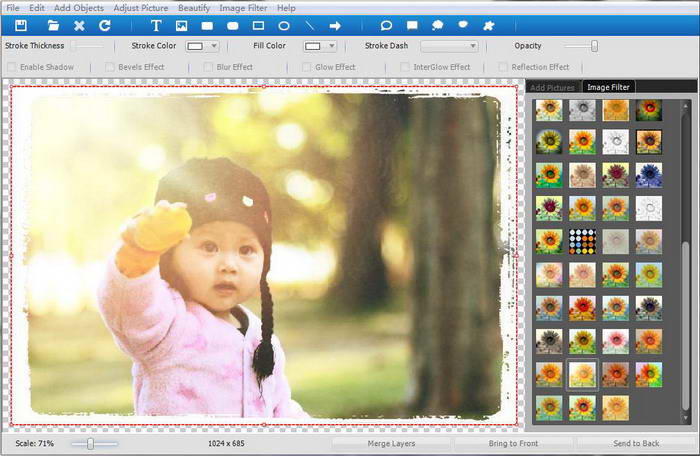 ToolWiz Pretty Photo  Lite