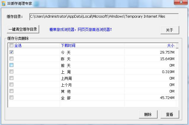 IE缓存清理专家