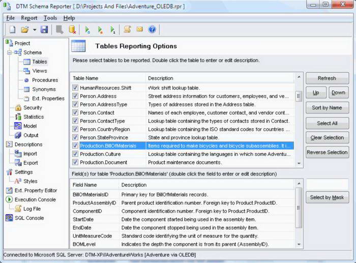 DTM Schema Reporter Professional