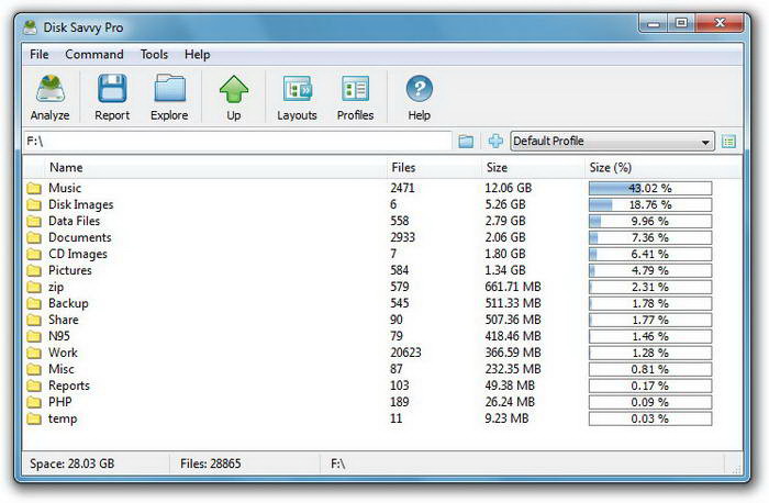 Disk Savvy Enterprise x64