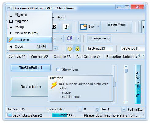 BusinessSkinForm VCL for CB2007