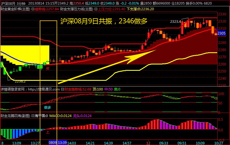 财金操盘手