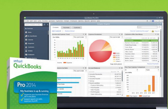 QuickBooks Pro For Mac