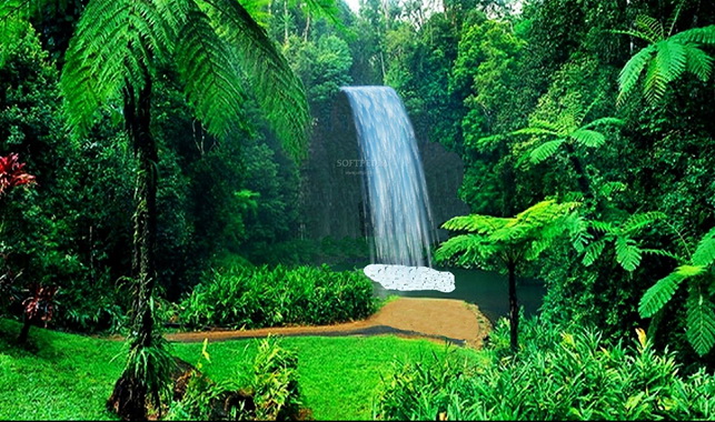 Queensland Waterfall