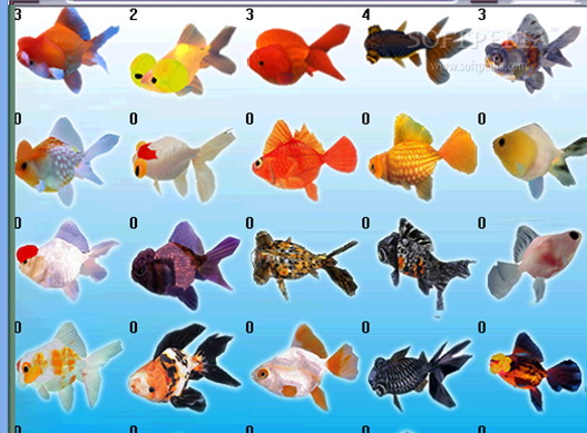 Digital Goldfish Screensaver