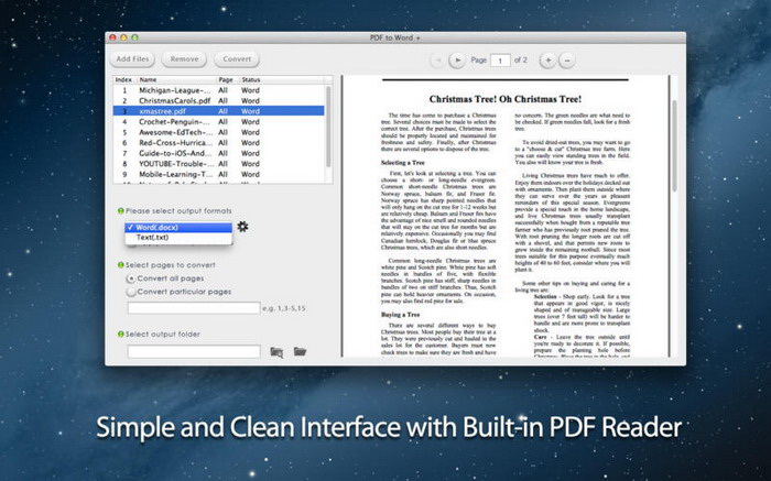 PDF to Word Converter for Windows