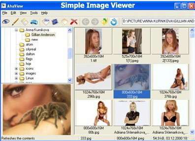 Simple Picture Viewer