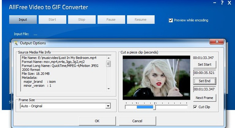 All Free Video to GIF Converter