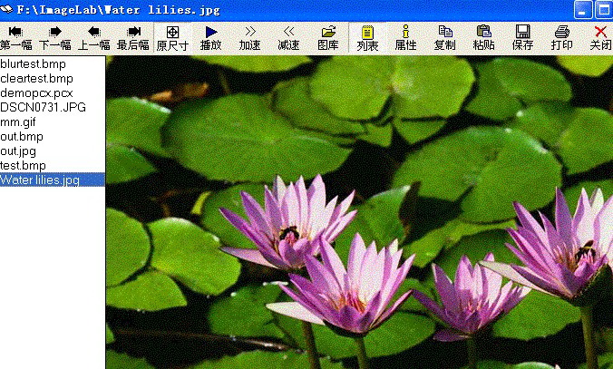图像处理软件(ImageLab)