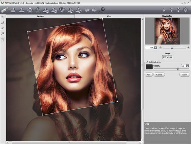 AKVIS OilPaint For Mac