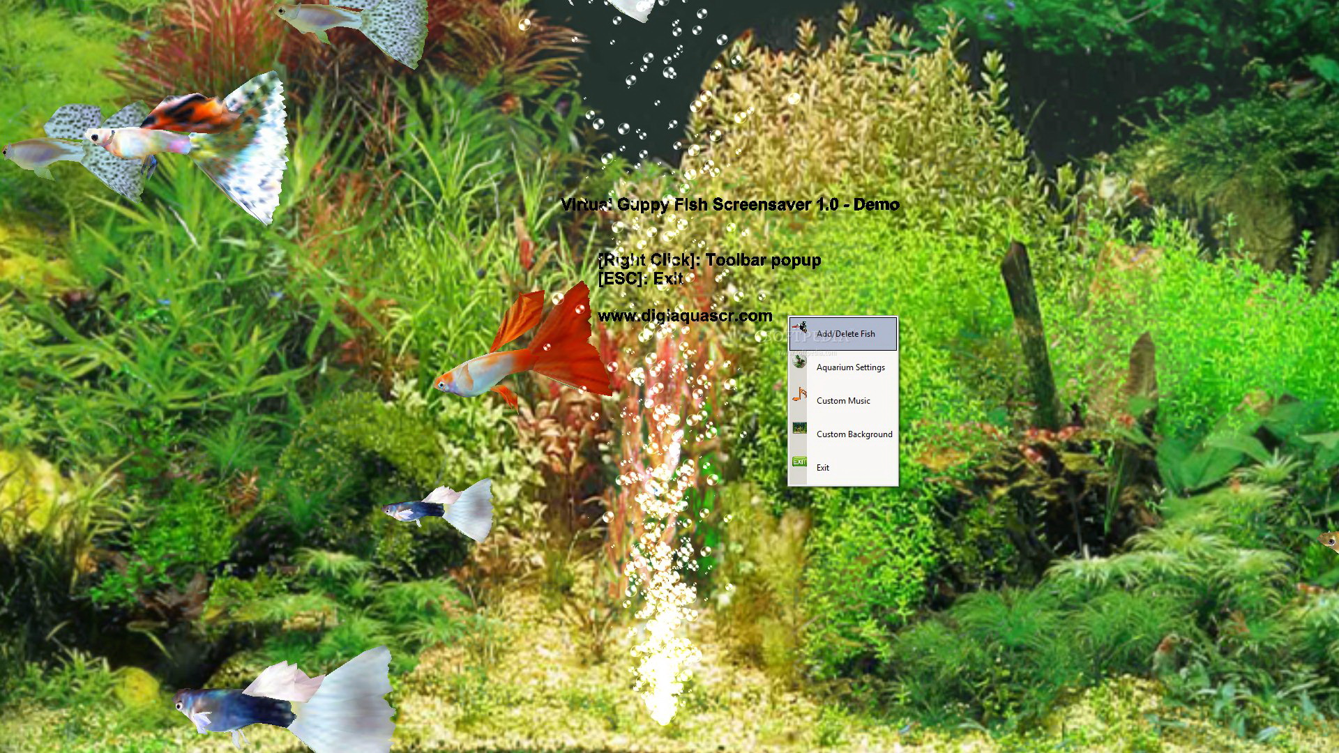 Virtual Guppy Fish Screensaver