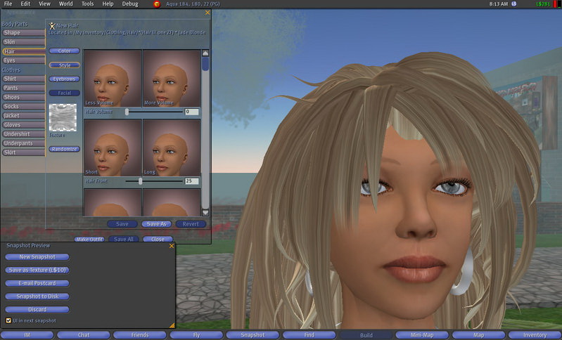 Second Life Client