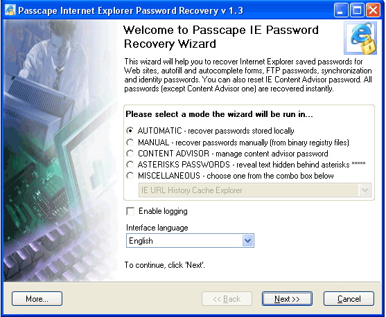 Internet Explorer Password Recovery