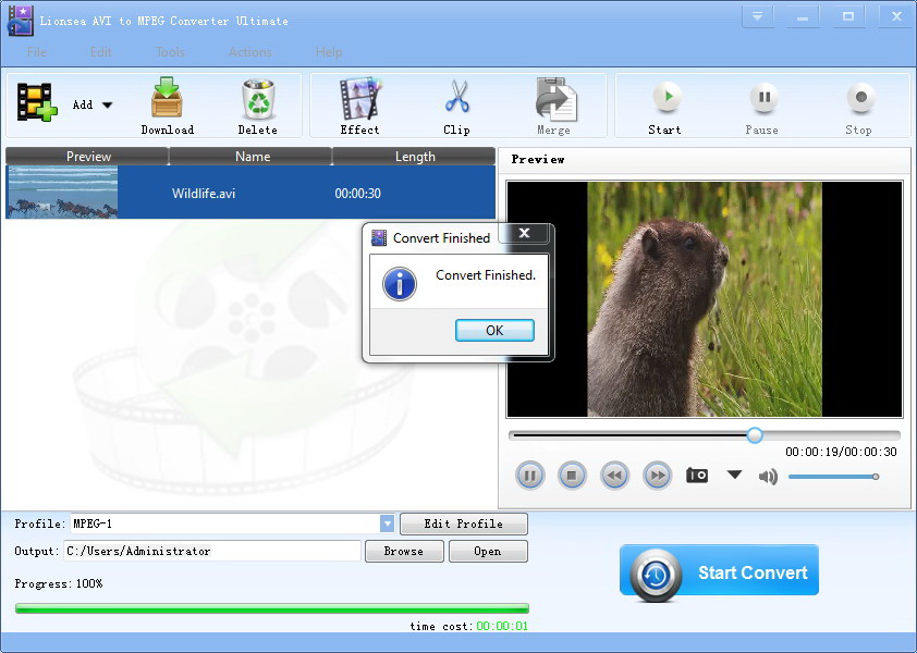 Lionsea AVI To MPEG Converter Ultimate