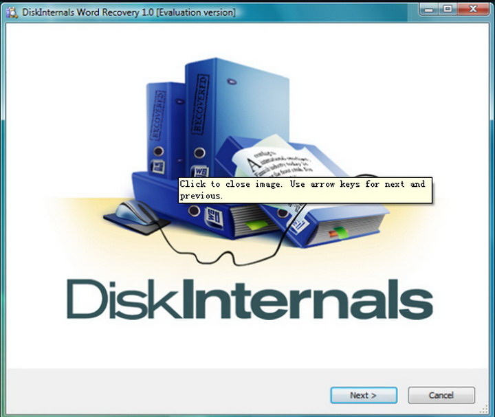 DiskInternals Word Recovery