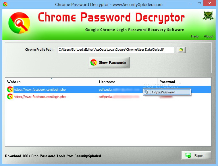 Chrome Password Decryptor