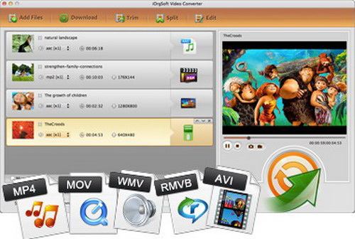 iOrgsoft MKV Converter For Mac