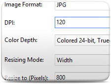 BlueFox Free PDF to JPG Converter