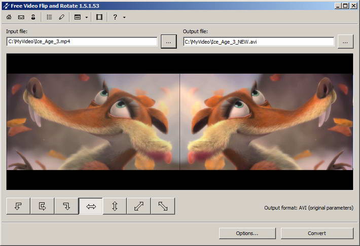 dvdvideosoft Free Video Flip and Rotate