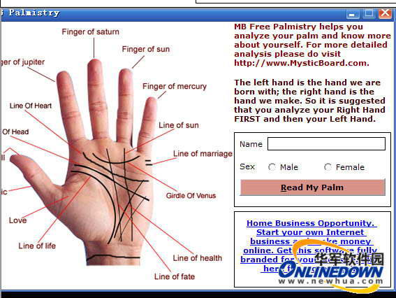 MB Palmistry Suite
