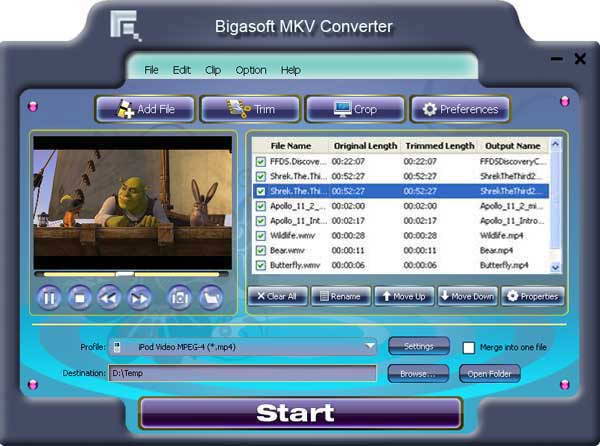 Bigasoft MKV Converter