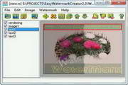 Easy Watermark Studio Lite