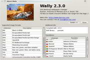 Wally  For Linux