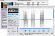 iMacsoft DVD to BlackBerry Suite For Mac