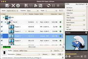 4Media DVD Ripper Platinum for Mac