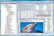 SQL Maestro for MySQL executable file