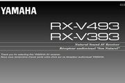 雅马哈RX-V493说明书
