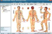 TWQ中医推拿针灸管理软件