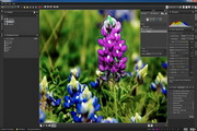 Corel AfterShot Pro