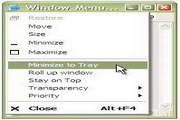 Actual Window Menu