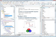 Oxygen XML Editor x64