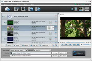 Tipard DVD to Pocket PC Converter