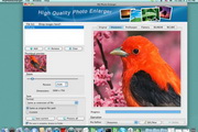 Delineato Pro For Mac