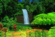 Millaa Millaa Waterfall